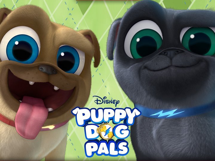 Puppy Dog Pals
