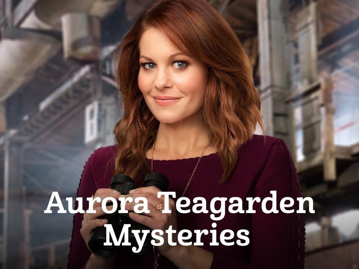 Aurora Teagarden Mysteries Three Bedrooms One Corpse