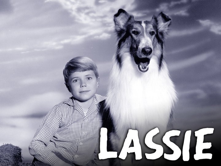 Lassie