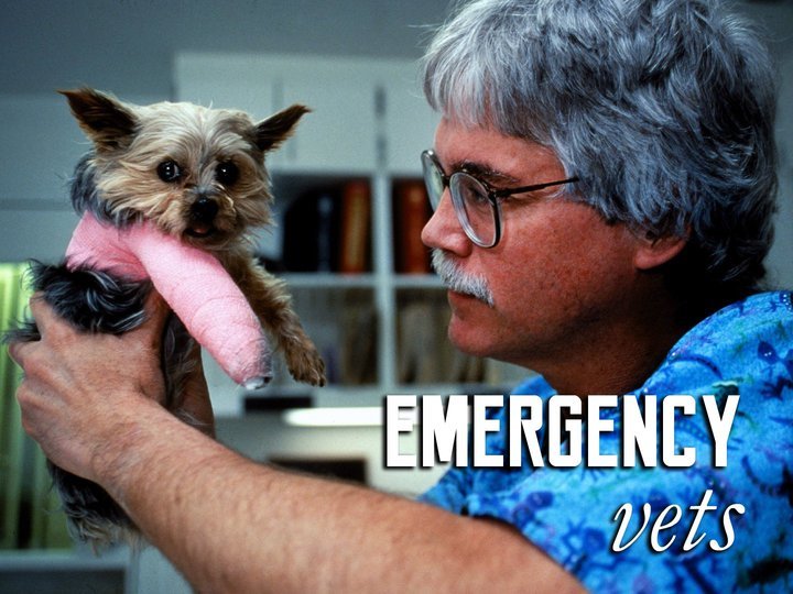 Emergency Vets