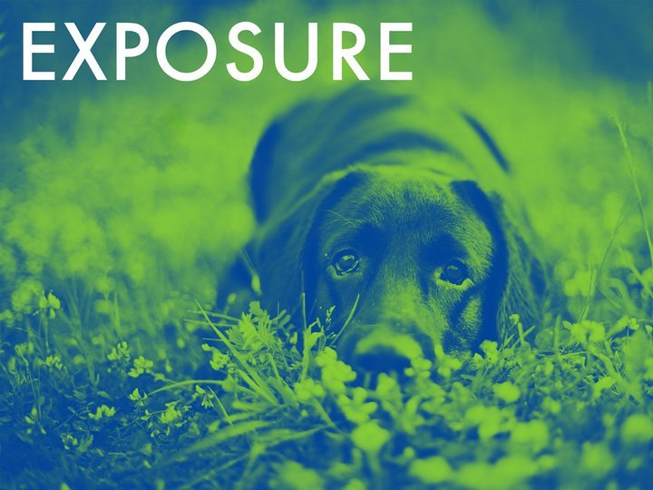 Exposure