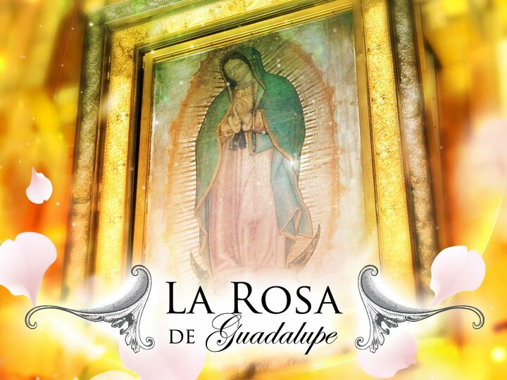 La Rosa de Guadalupe