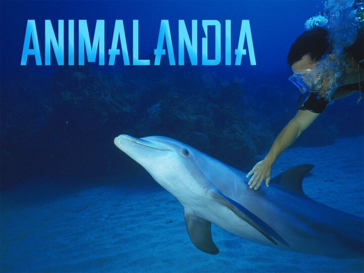 Animalandia