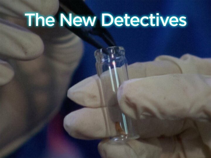 The New Detectives
