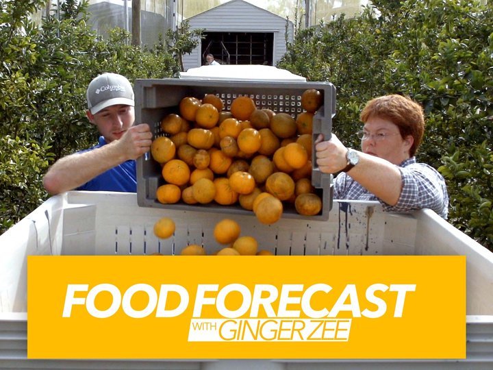 Food Forecast With Ginger Zee