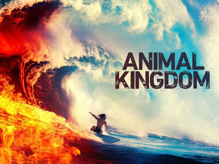 Animal Kingdom