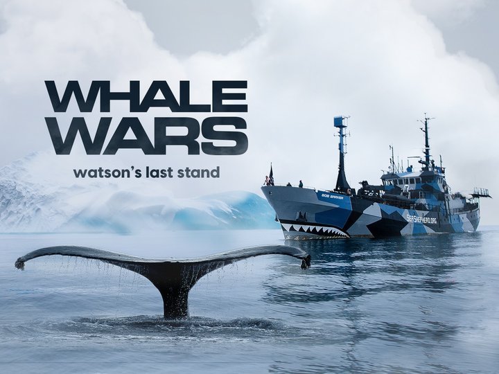 whale wars