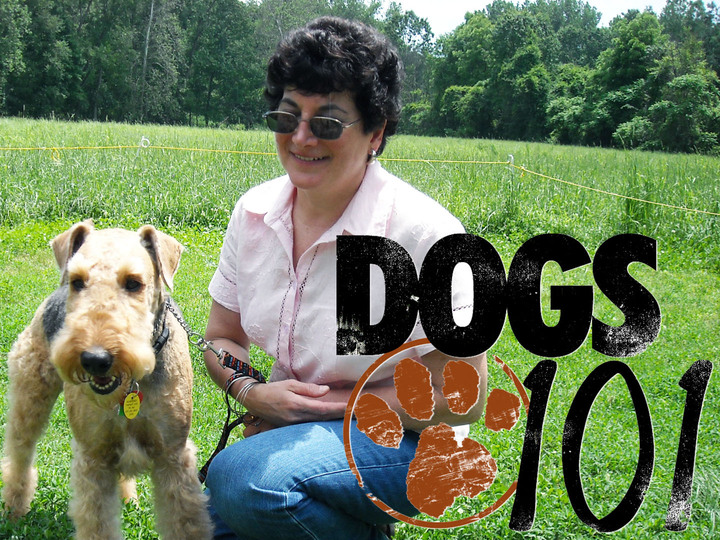 Dogs 101