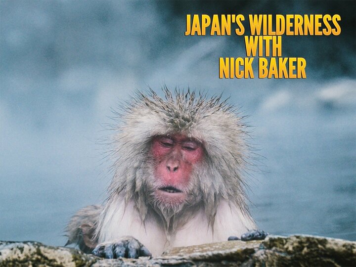 Japan's Wilderness With Nick Baker