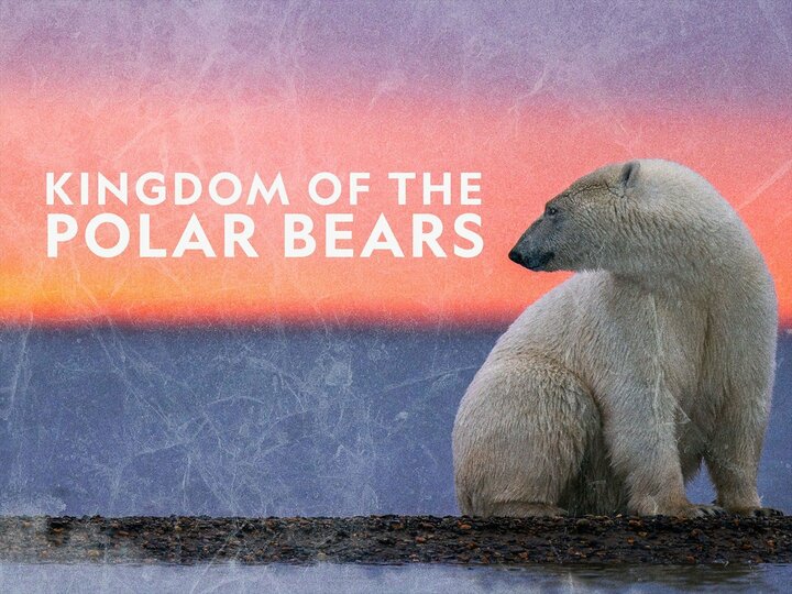 Kingdom of the Polar Bears