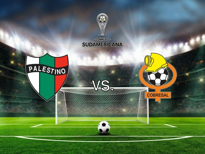 Copa Sudamericana Soccer