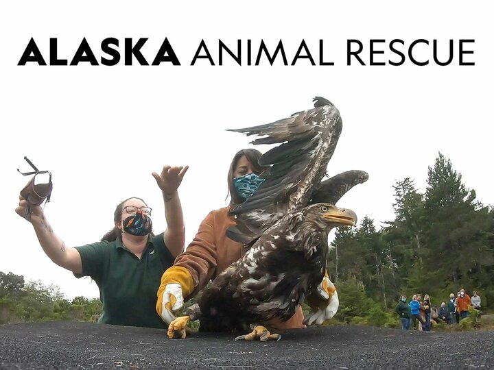 Alaska Animal Rescue