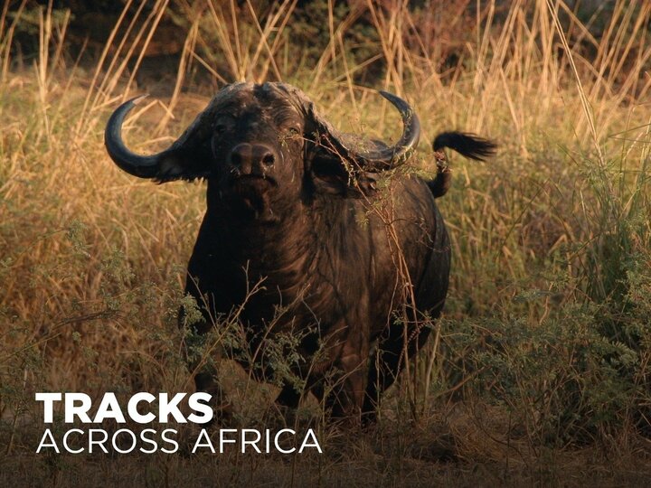 Tracks Across Africa